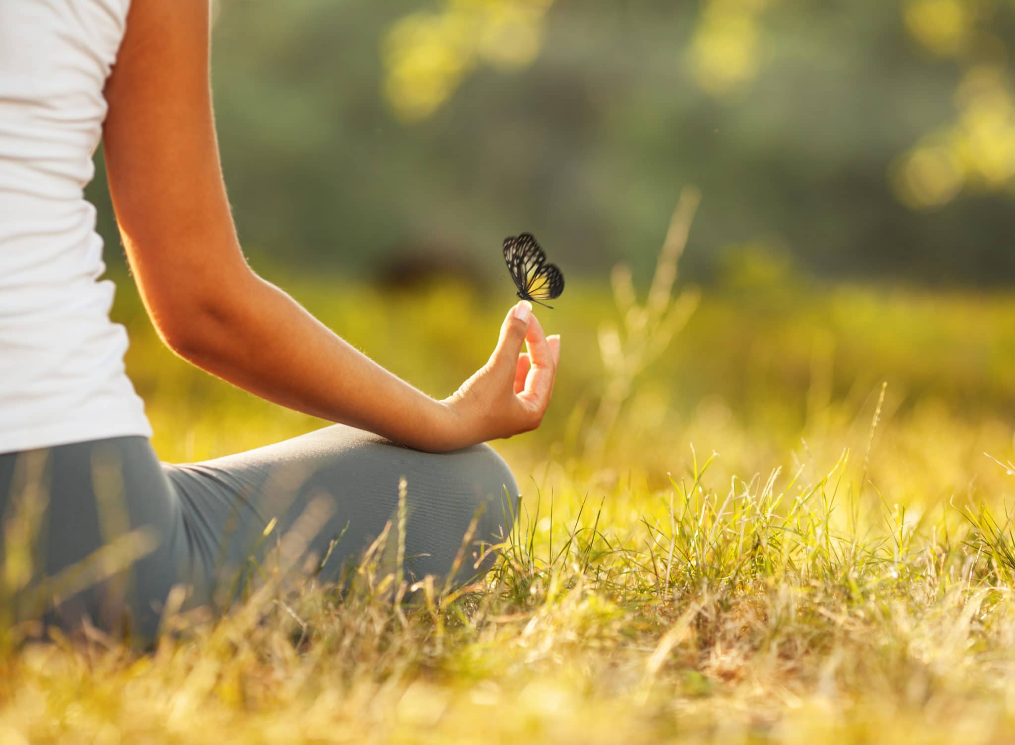 A woman sitting cross-legged in a sunlit meadow with a butterfly resting on her fingertips